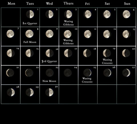 2022 Moon calendar