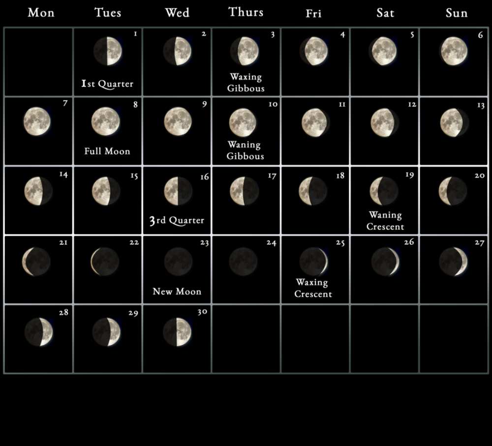 The lunar cycle of November - full moon calendar