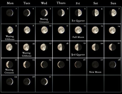 2022 Moon calendar