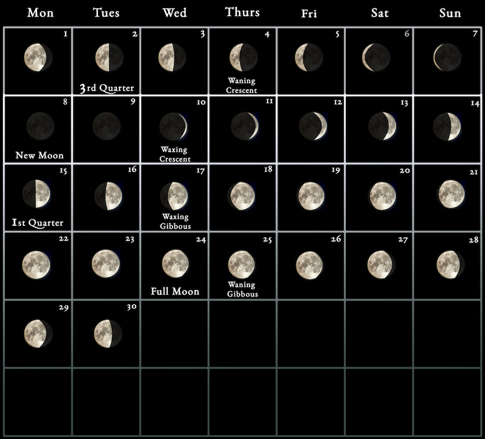 Calendar 2024 With Moon Phases