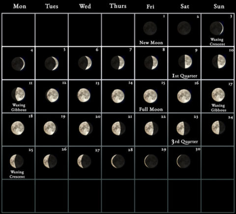 2024 Moon Calendar - every phase and stage of the moon