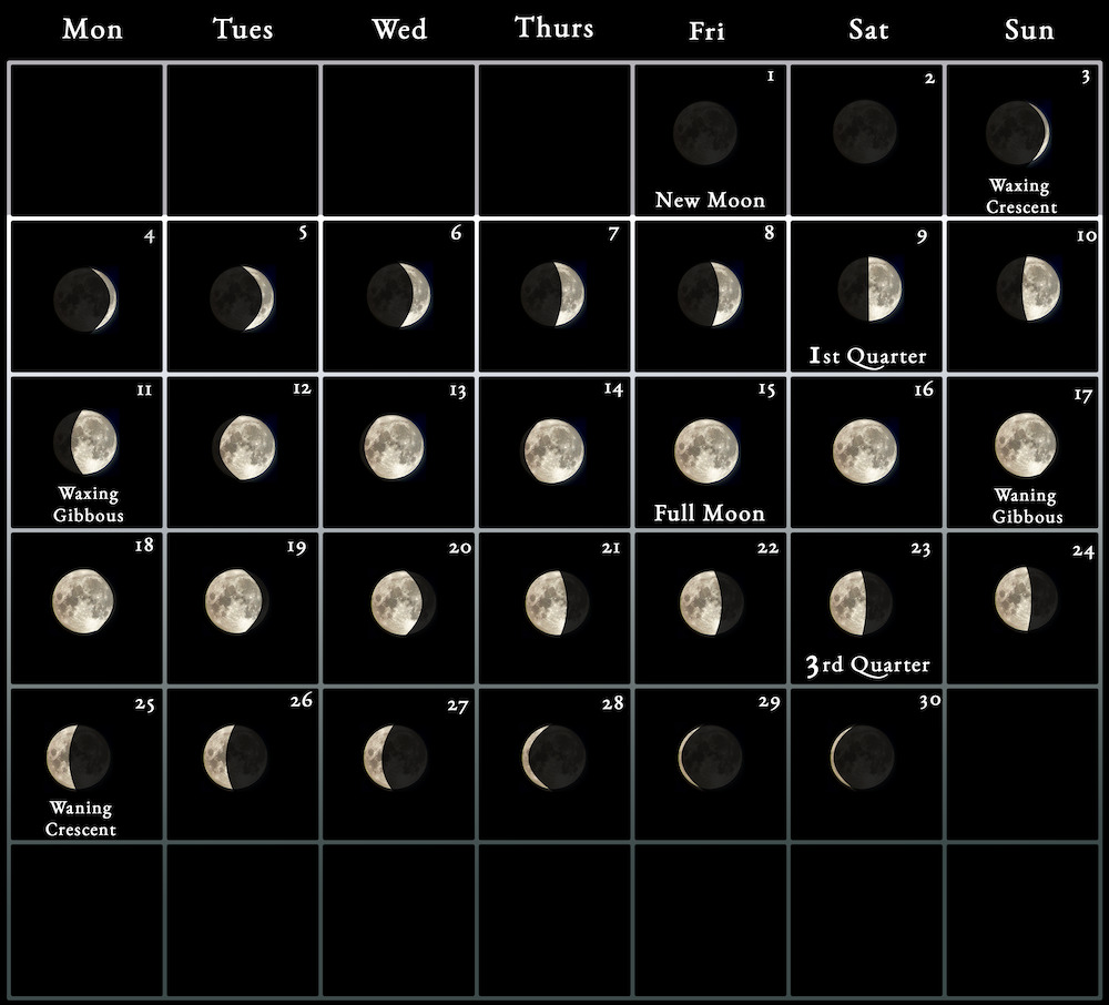 Moon Calendar November 2024