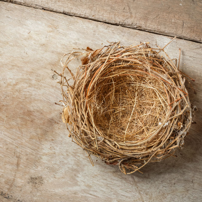 Practical advice to navigate the tricky feelings of Empty Nest Syndrome