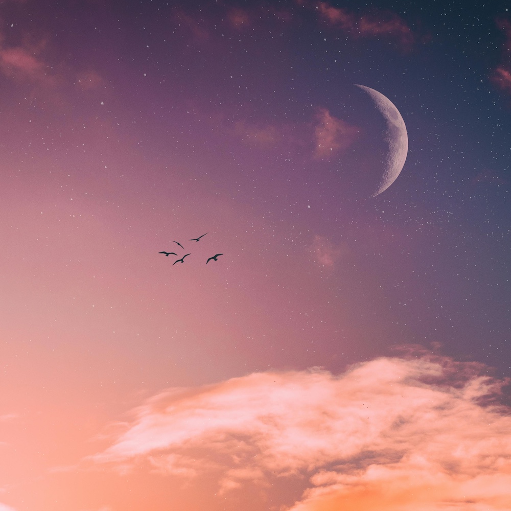 What the New Moon in Taurus means for you