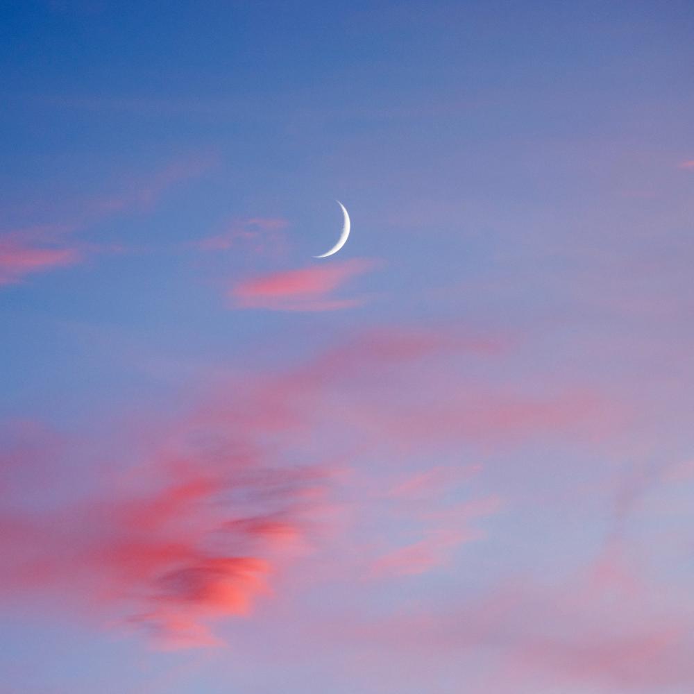new moon in leo