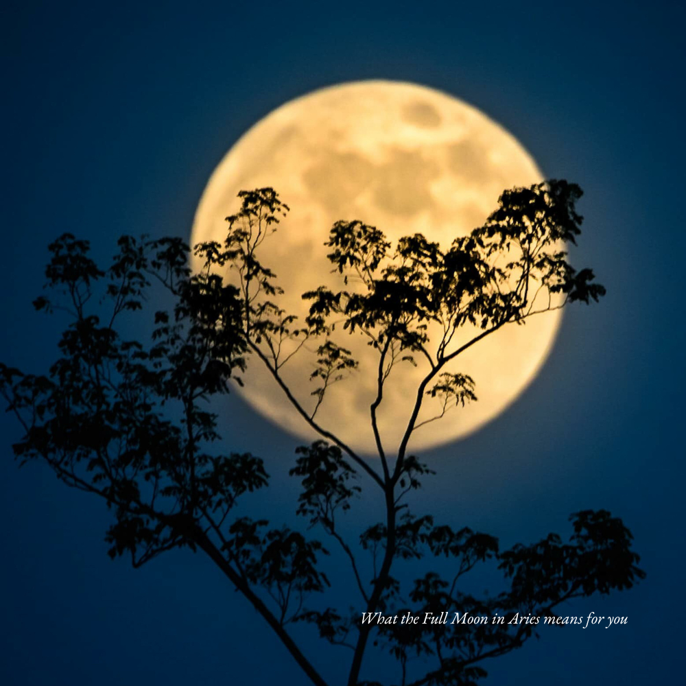 What the Harvest Full Moon in Aries means for you