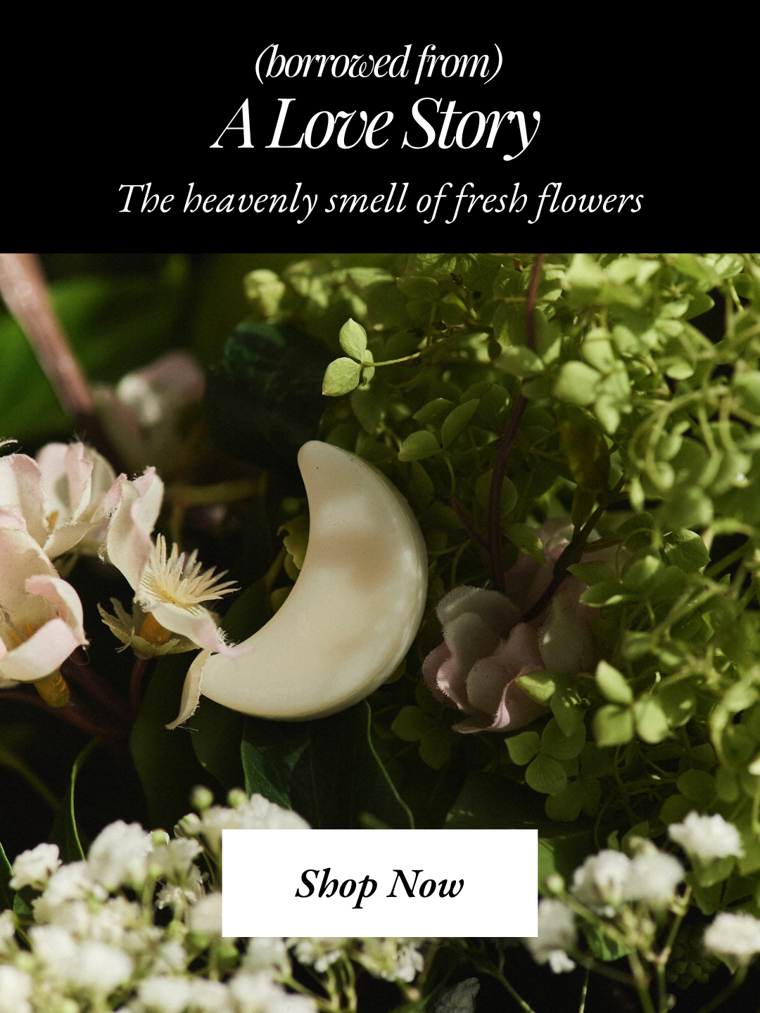 borrowed from a love story