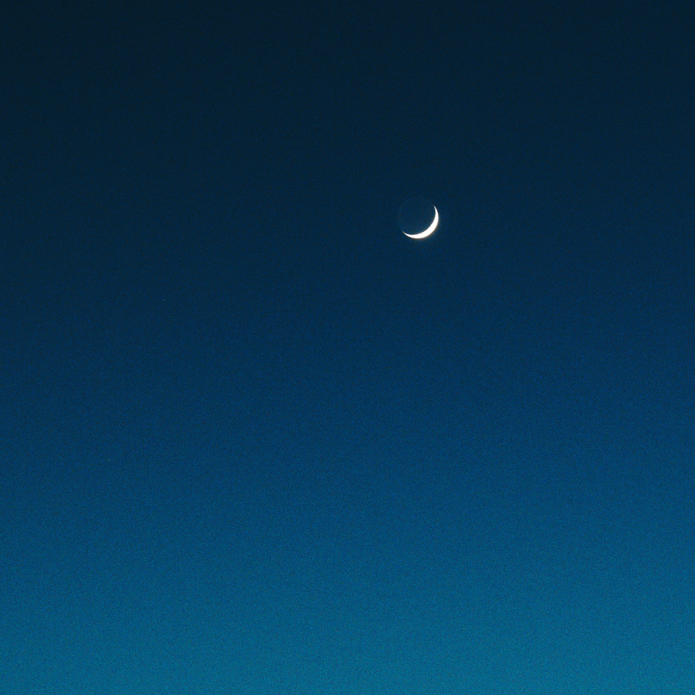 What the New Moon in Sagittarius Means for You