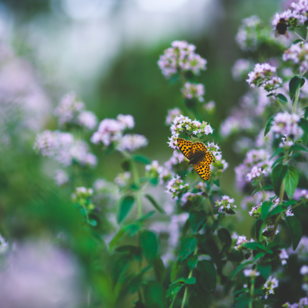 How to Spot the Signs the Universe is Sending Just for You