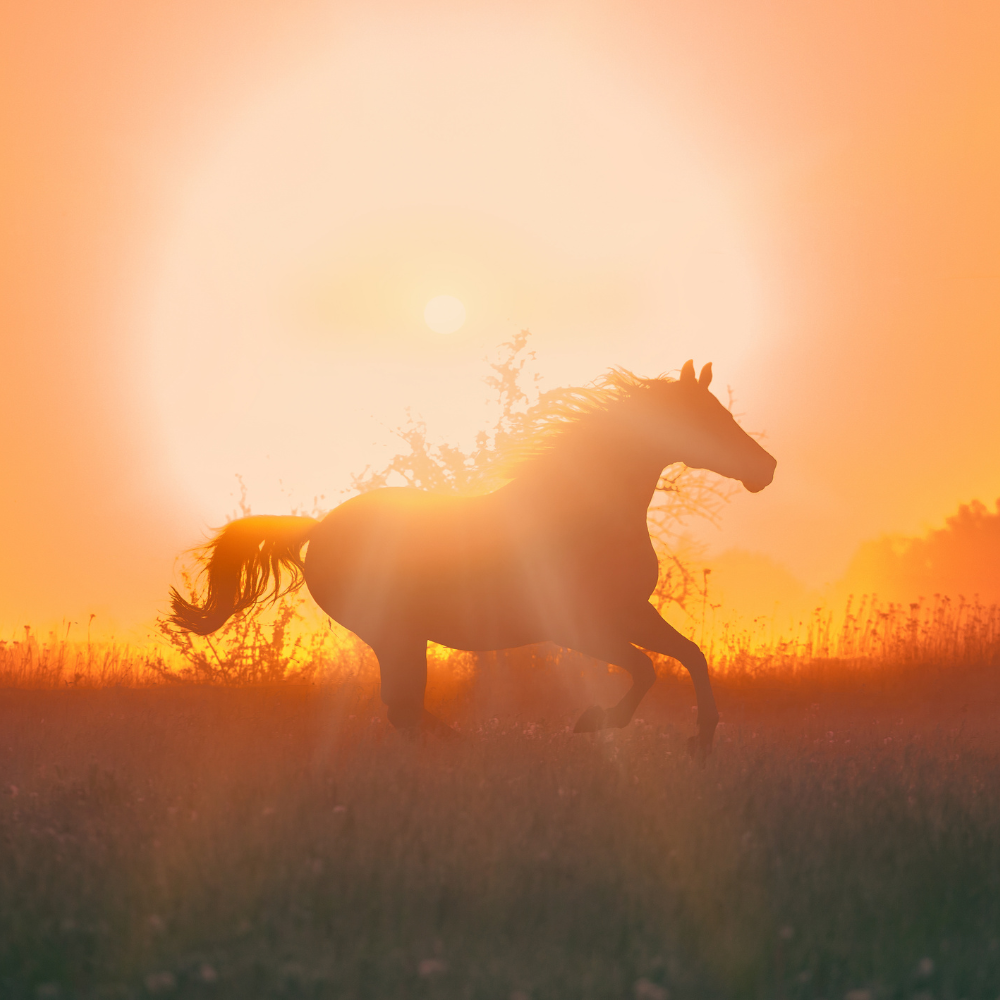 Chinese New Year Superstitions You Must Follow to Protect Your Luck and Wealth in the Year of the Horse