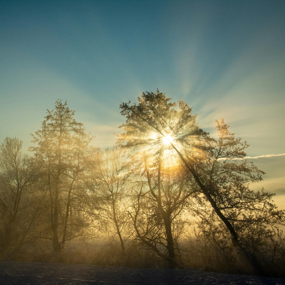 Imbolc: The Quiet Reawakening