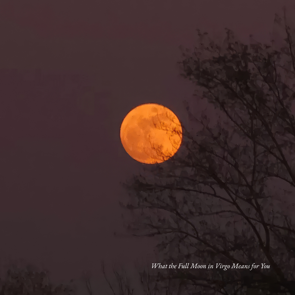 What the Full Moon in Virgo Means for You