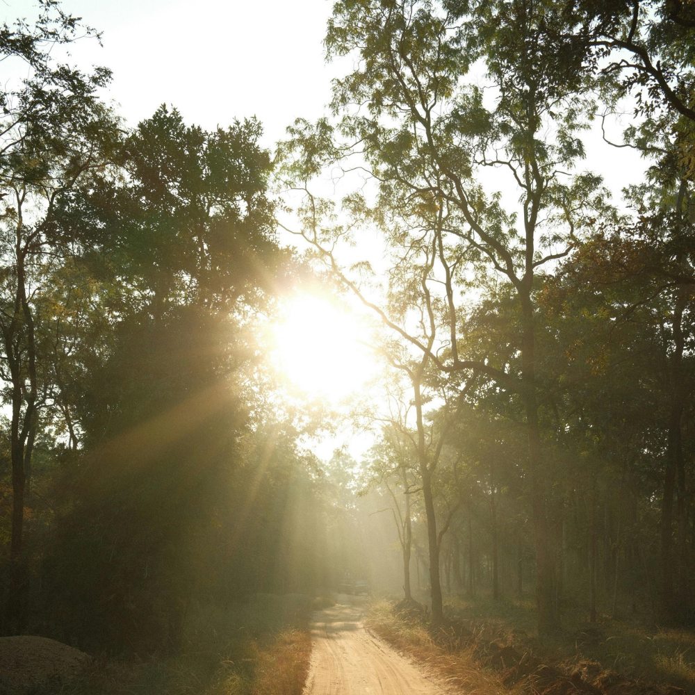 Ostara: Finding Your Balance Again