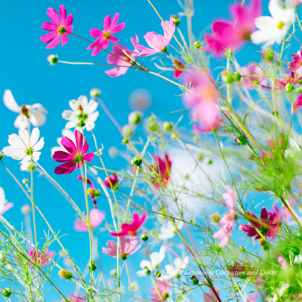 Beltane: Expansion, Connection and Desire