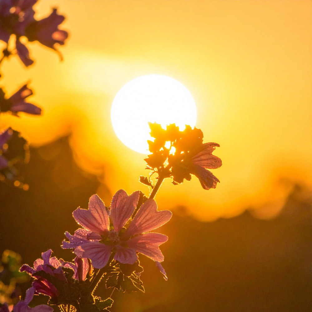 The Longest Day Doesn’t Want Anything From You