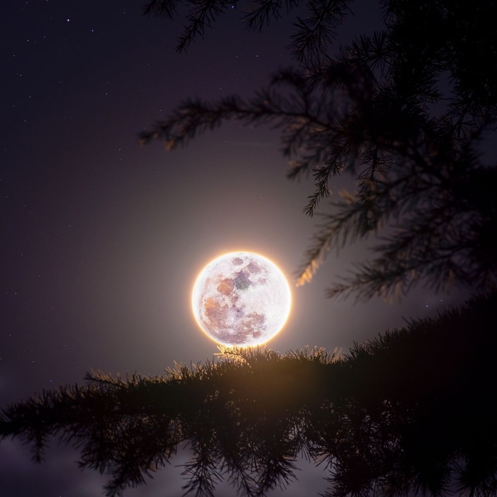 Your Moon Sign Is Who You Are When Nobody Is Watching