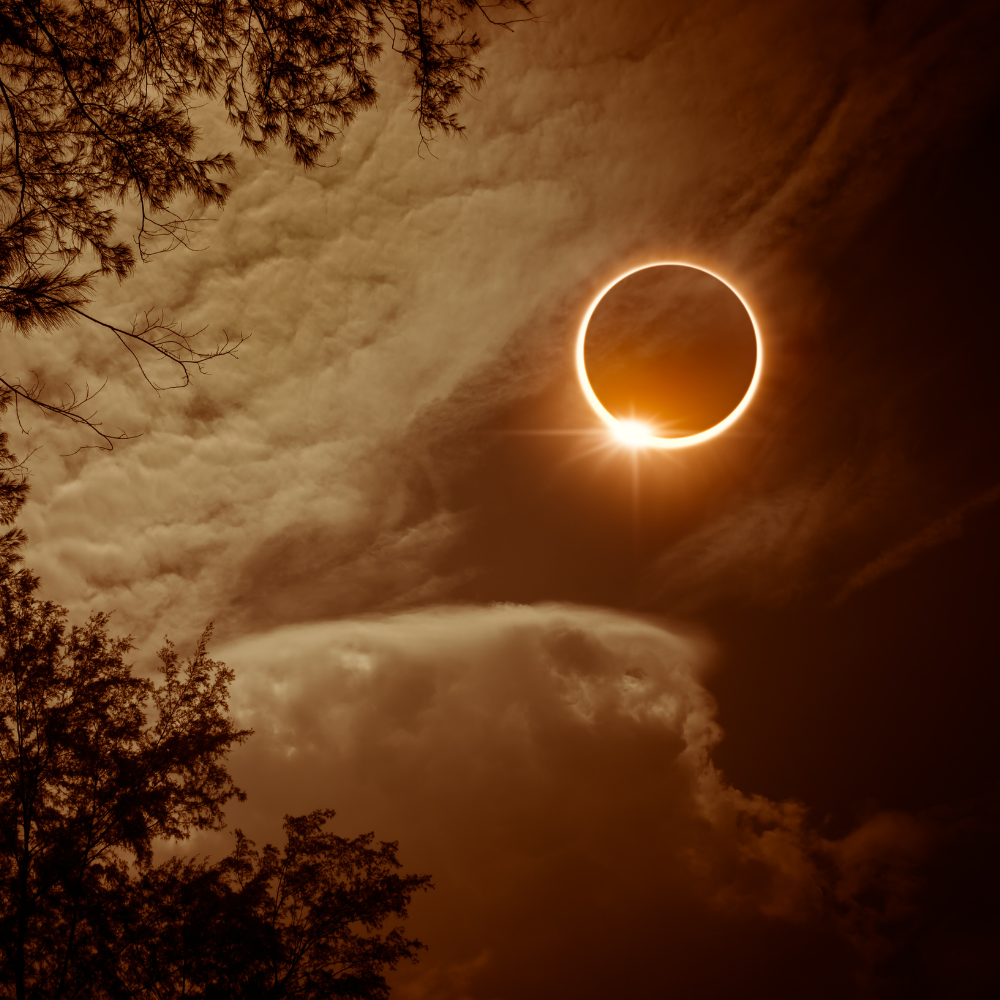 Why a Super New Moon, a Solar Eclipse and the Lionsgate Portal Mean Your Story is About to Change
