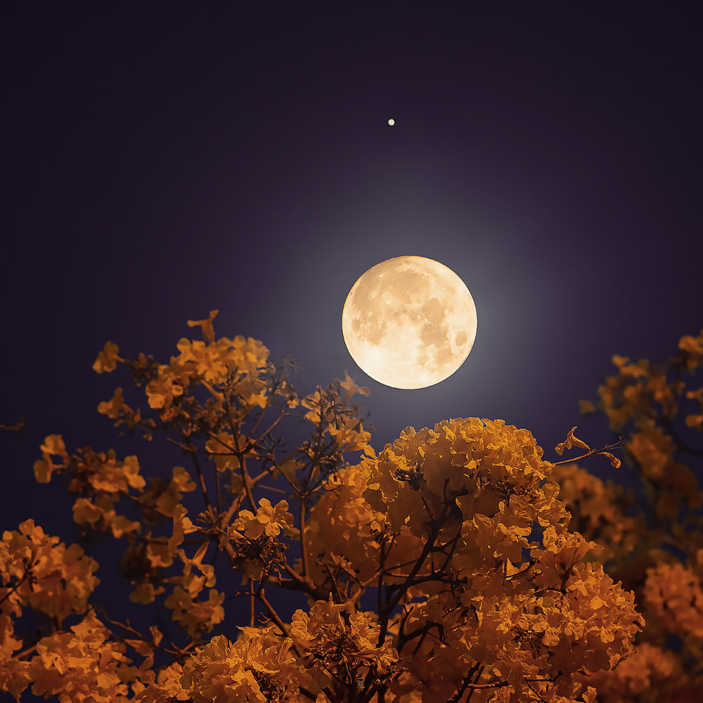 What the Sturgeon Full Moon in Pisces means for you
