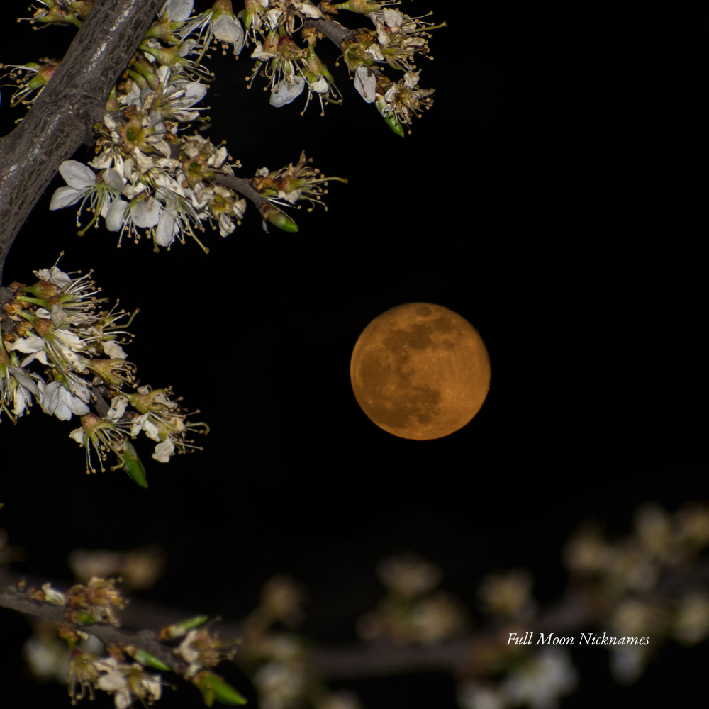 Full Moon Nicknames