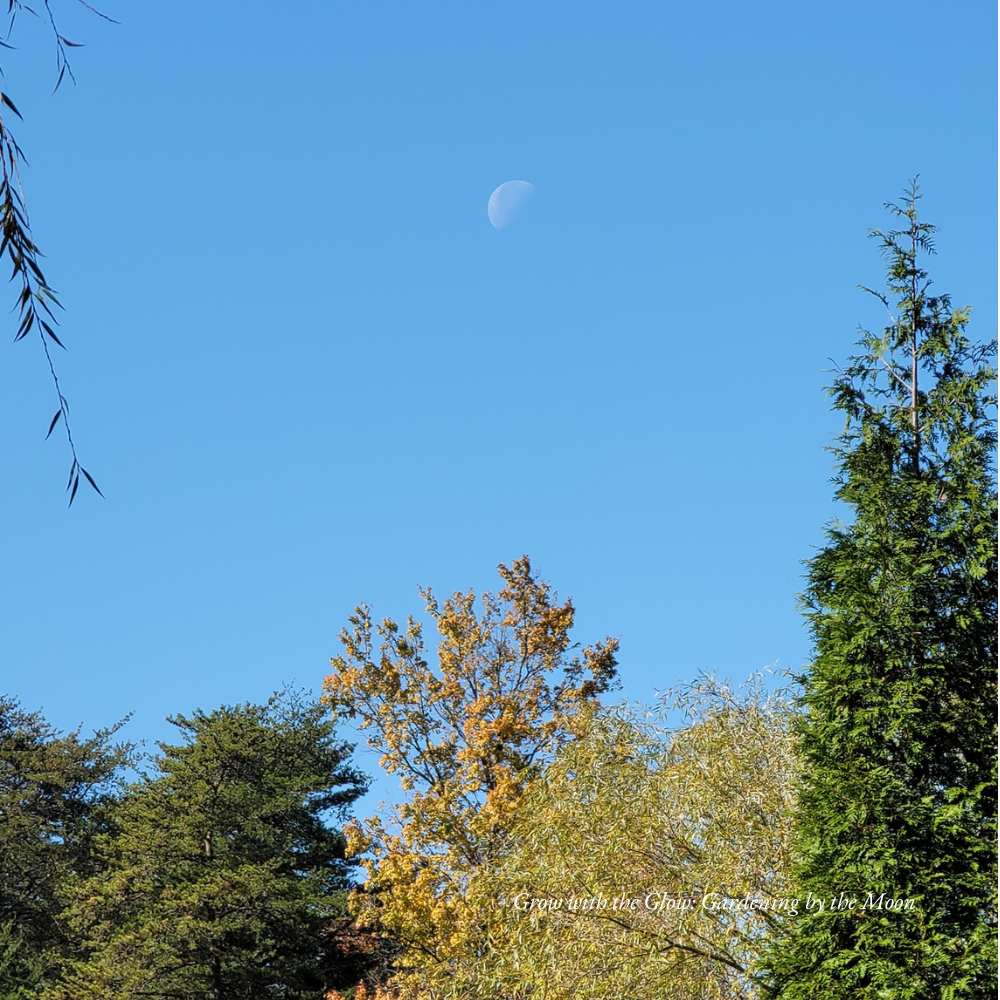 Grow with the Glow: Gardening by the Moon