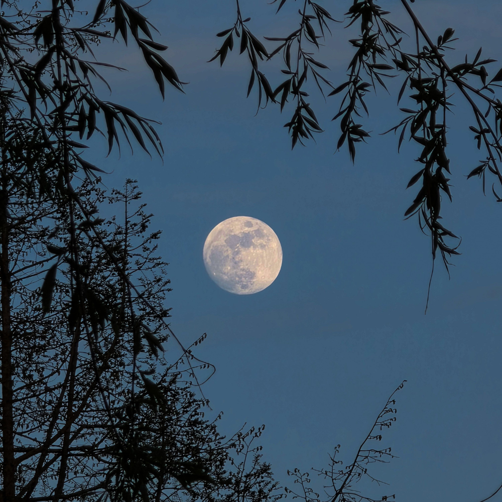 Your Moon Sign Is Who You Are When Nobody Is Watching