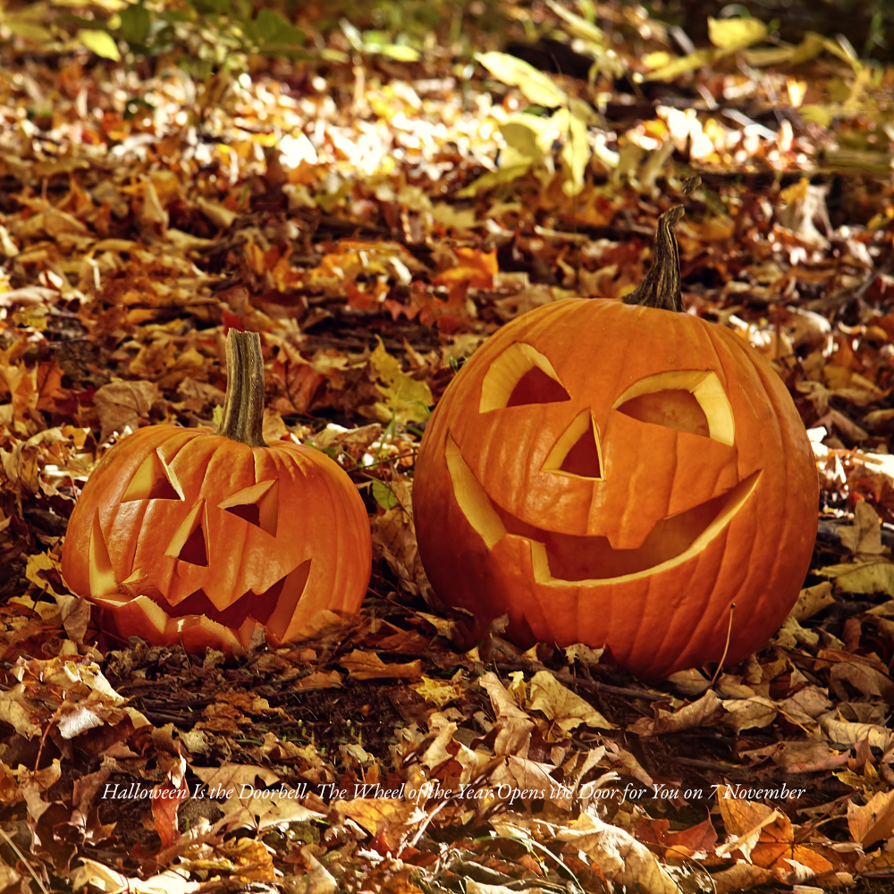 Halloween Is the Doorbell. The Wheel of the Year Opens the Door for You on 7 November